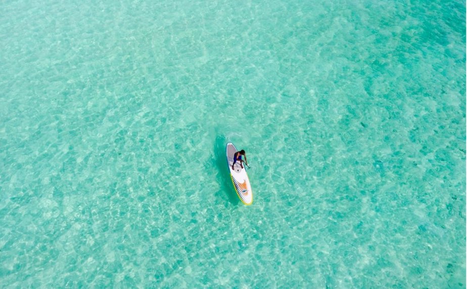 大量発生するミノウスバを駆除するには 具体的で効果的な駆除方法をご紹介 ハピラフマガジン